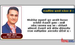 ‘दक्ष जनशक्ति उत्पादनमा राजनीतिक दल एजेन्डाविहीन’
