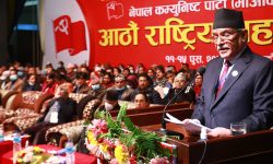 निरंकुश तत्त्वहरुले टाउको उठाइरहेका छन्