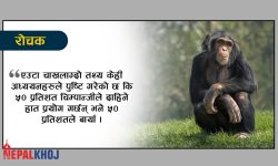 विश्वयुद्धमा खरायोमा गरिन्थ्यो विष परीक्षण !