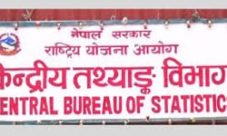 राष्ट्रिय जनगणनाको प्रतिवेदन पहिलोपटक स्थानीय तहसम्मको प्रकाशन गर्ने तयारी