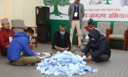 ३५०० मत गन्दा खड्का र गच्छदारको अग्रता