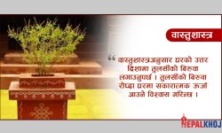 धनको कमी हुन नदिन घरमा सधैं यस्ता सामान राख्नुस् !