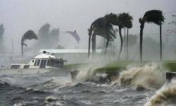 अमेरिकामा आँधी, सयजनाको मृत्यु