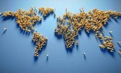 के अब केही वर्षमै घट्छ त संसारकाे जनसंख्या ? के भन्छन् शाेधकर्ता ?