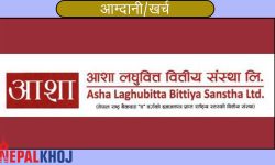 आशा लघुवित्तले ६ महिनामा कमायो आठ करोड ७३ लाख