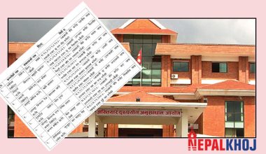 भ्रष्टाचारको आरोपमा खानी विभागका महानिर्देशकसहित १८ जनाविरुद्ध उजुरी