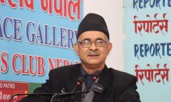 वाणिज्यदूतहरुलाई गाडीमा नीलो नम्बर प्लेट र झन्डा राख्न पाउने सुविधा दिएको भन्दै आपत्ति