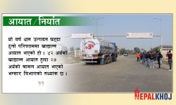 ६ महिनामा ४२ अर्बको खाद्यान्न आयात