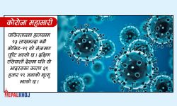 पाकिस्तानमा कोरोना संक्रमणदर ४० प्रतिशत नाघ्यो