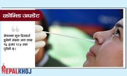 चौबीस घण्टामा ६ हजार ७३४ संक्रमित थपिए, ५४७ जना डिस्चार्ज