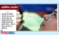 एकैदिन थपिए २,४४४ संक्रमित, ३१३ जना डिस्चार्ज