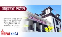 ४३ जनाको उम्मेद्‌वारी दर्ता