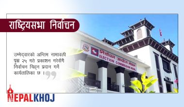 ४३ जनाको उम्मेद्‌वारी दर्ता