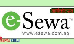 ई-सेवा १४औं वर्षमा प्रवेश