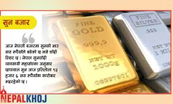 सुनकाे भाउ सय रुपैयाँले बढ्याे, चाँदीकाे स्थिर