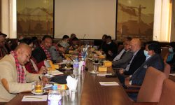 राजस्व संकलनमा जस्तो पुँजीगत खर्चमा सरकारको तदारूकता देखिएन : अध्यक्ष गोल्छा