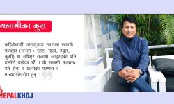 ‘पद धारण गर्दैमा सबैले सलामी पाउँदैनन्’
