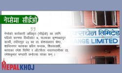 नेप्सेको सीईओका लागि पहिलो चरणमा ५ आवेदक छनोट (नामसहित)