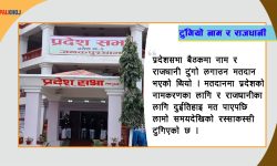 अब प्रदेश २ को नाम ‘मधेस’, राजधानी ‘जनकपुरधाम’