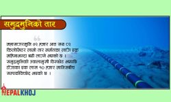 समुद्रमुनिको ‘फाइबर-अप्टिक’ चुँडिएपछि…