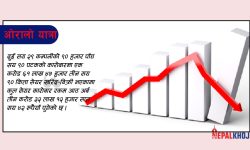 ३० अंकले नेप्से घट्दा ८ अर्बको कारोबार