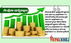 ३३ अंकले नेप्से बढ्दा ५ अर्ब ७७ करोड रुपैयाँको सेयर किनबेच