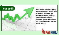 ४३ अंकले बढ्दा ३ अर्ब ६७ करोडको सेयर किनबेच