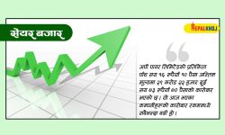 ७३ अंकले नेप्से बढ्दा सात अर्ब १० करोड रुपैयाँको सेयर किनबेच