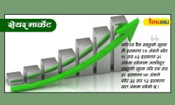 ५४ अंकले बढेर रोकियो नेप्से, २२४ कम्पनीको ६ अर्ब ६६ करोडको सेयर किनबेच