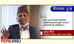 पेट्रोलियम पदार्थको गुणस्तरमा निगमलाई दोष लगाउन मिल्दैन : निर्देशक पौडेल