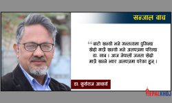 वैकल्पिक राजनीति अब सम्भव छैन कि ?