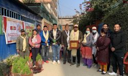 महालक्ष्मी विकास बैंकले गर्‍यो वृक्षरोपण