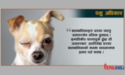 ‘अब पारपाचुकेसँगै घरपालुवा जनावरको हक पनि टुंग्याउनुपर्ने’