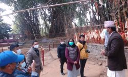 बूढासुब्बाको बाँस…