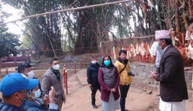 बूढासुब्बाको बाँस…