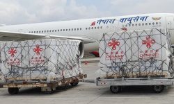 चीनबाट थप १२ लाख डोज भेरोसेल खोप आइपुग्यो