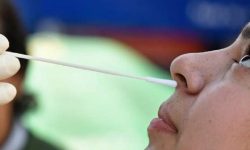 १० जनामा काेराेना, २६ जना डिस्चार्ज