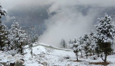 हुम्लामा लगातार हिमपात, अत्यधिक चिसोले जनजीवन प्रभावित