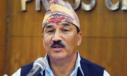 संशोधन नगरिएको नागरिकता विधेयक प्रमाणीकरण नगर्ने राष्ट्रपतिको निर्णय स्वभाविक : अध्यक्ष थापा