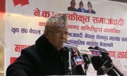 एमालेमा देउताको वरिपरि पूजक र भजनमण्डली बस्छन् : माधव नेपाल