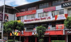 महालक्ष्मी बिकास बैंकको वार्षिक साधारण सभा रोक्न उच्च अदालतको अन्तरिम आदेश