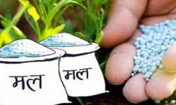 मल खरिदमा भ्रष्टाचार : सञ्चालकसहित कर्मचारी र ठेकेदारविरुद्ध विशेष अदालतमा मुद्धा दायर