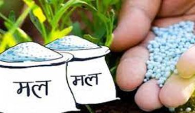 मल खरिदमा भ्रष्टाचार : सञ्चालकसहित कर्मचारी र ठेकेदारविरुद्ध विशेष अदालतमा मुद्धा दायर
