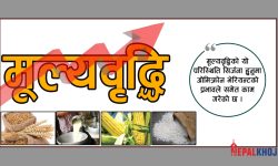 दशककै उच्च विन्दुमा किन पुग्यो खाद्यवस्तुको मूल्य ?