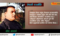 ‘भिडलाई निर्देशित गर्नुपर्ने हाम्रा नेताहरु भिडबाटै परिचालित भए’