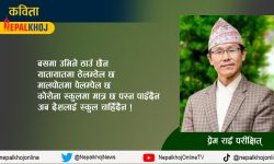 स्कुल चाहिँदैन