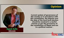 Local Government: When is the election?