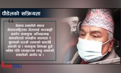 सांसद होइनन्, संसद् खुलाउने दौडधूप किन ?