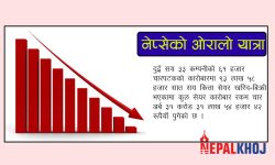३८ अंकले नेप्से घट्दा ४ अर्ब ३१ करोडको कारोबार