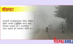 तराईमा शीतलहर, पहाडमा कुहिरोले धुम्म